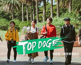 麻豆社madou《TOP DOG》免费在线观看
