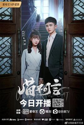 麻豆社区《喵不可言》免费在线观看