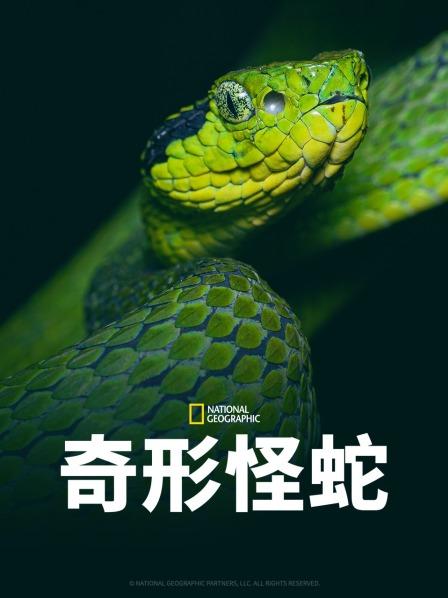 麻豆社区《奇形怪蛇》免费在线观看